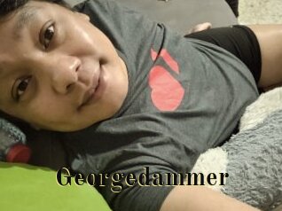 Georgedammer