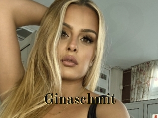 Ginaschmit