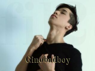 Ginobadboy