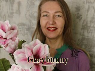 Greybunny