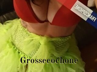 Grossecochone