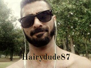 Hairydude87