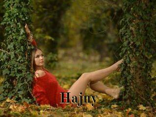 Hajny