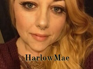 Harlow_Mae