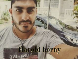 Harold_horny