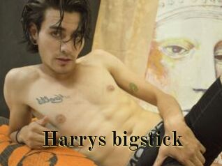 Harrys_bigstick