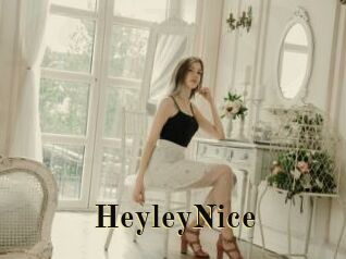 HeyleyNice