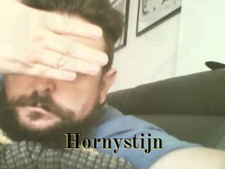 Hornystijn