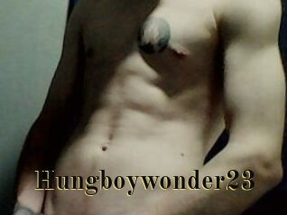 Hungboywonder23