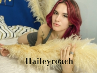 Haileyroach