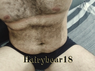 Hairybear18