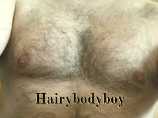 Hairybodyboy