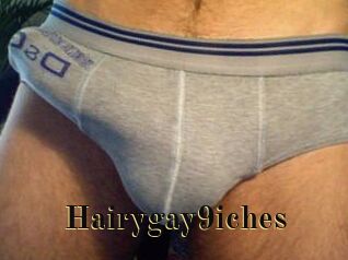 Hairygay9iches