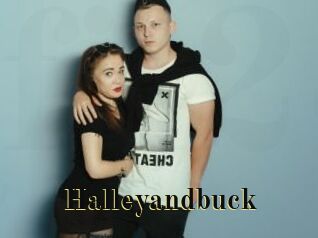 Halleyandbuck