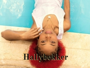 Hallybekker