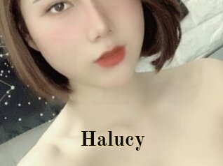 Halucy