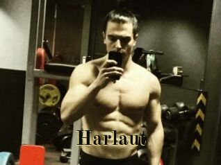 Harlaut