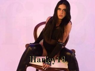 Harley19