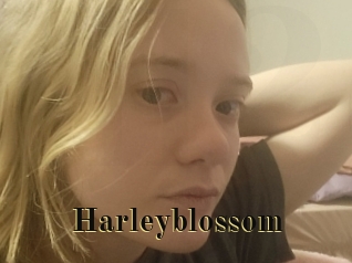 Harleyblossom