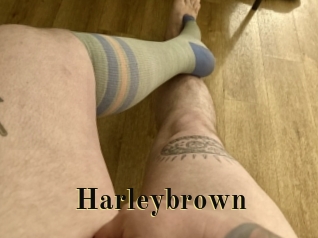 Harleybrown