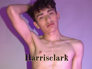 harrisclark Films 2 Q
