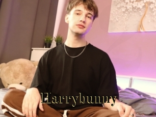 Harrybunny