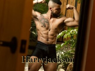 harryjackson Films 2 Q
