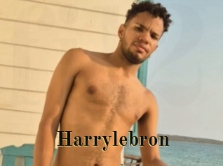 Harrylebron