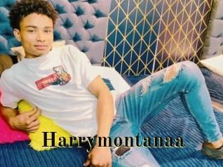 Harrymontanaa