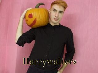 Harrywalters