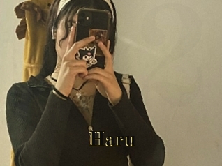 haru Films 2 Q