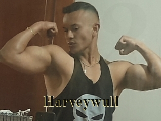 Harveywull