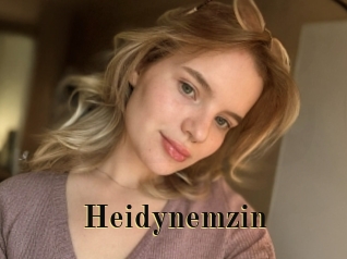Heidynemzin