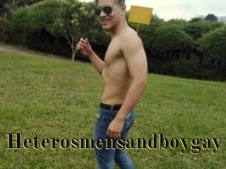 Heterosmensandboygay