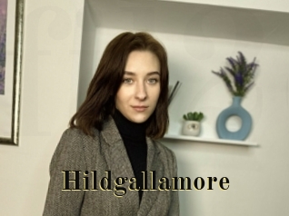 Hildgallamore