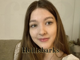 Hollisbarks
