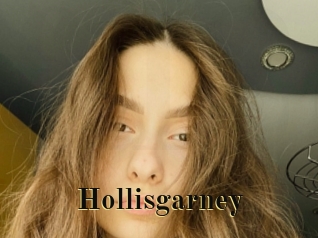 Hollisgarney