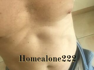 Homealone222