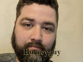 Horneyguy