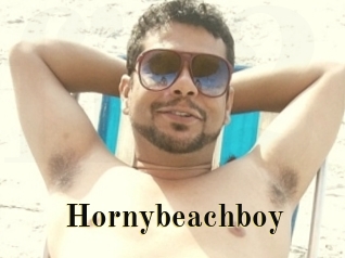 Hornybeachboy