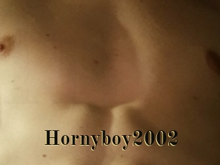 Hornyboy2002