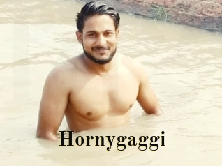 Hornygaggi