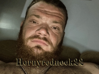 Hornyredneck22