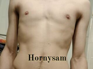 Hornysam