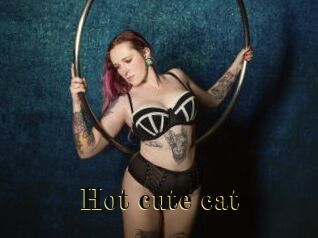 Hot_cute_cat