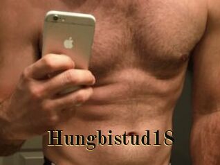 Hungbistud18