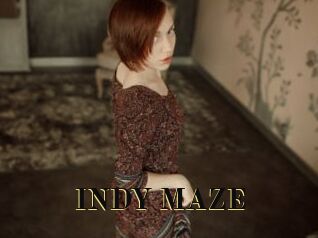 INDY_MAZE