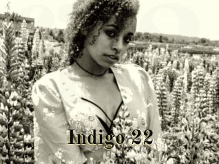 Indigo_22