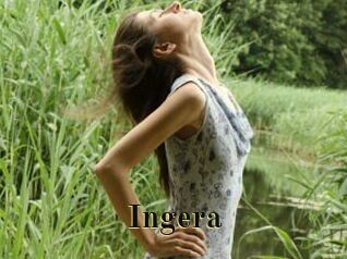 Ingera