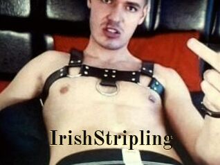 IrishStripling